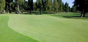 Газонная трава Masterline Golfmaster (Гольфмастер) 10 кг