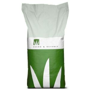 Райграс многолетний Матильда