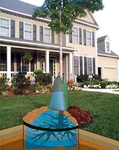 Сумка для полива деревьев