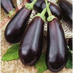 Баклажан Алмаз, 0,25 г