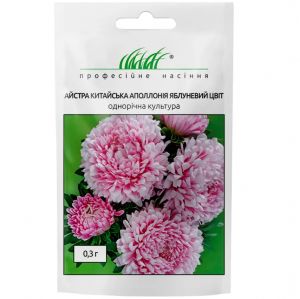 Астра Аполлония яблоневый цвет