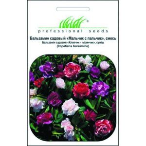 Бальзамин садовый Мальчик с Пальчик, смесь