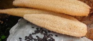 Люффа (мочалка) 5 шт