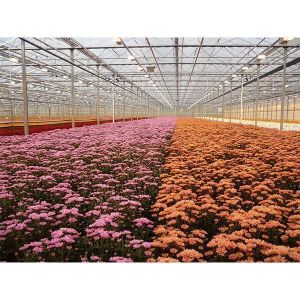 Удобрение Field-Cote CRF 20+5+20+2MgO+МЭ