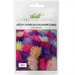 Насіння Айстра голчаста Валькірія суміш