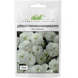 Насіння Деревій птарміка Маршмеллоу