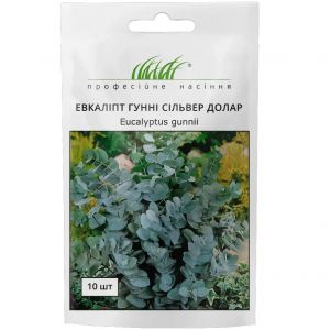 Насіння Евкаліпт гунні Сільвер Долар