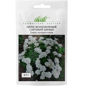 Насіння Іберіс вічнозелений Сніговий шквал