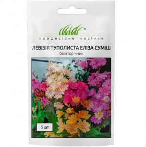 Насіння Левізія туполиста Еліза