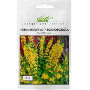 Насіння Лізімахія крапчаста Золотоволоска