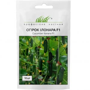 Насіння Огірок Ілонара F1