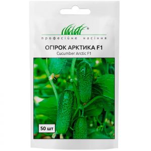 Огурец Арктика F1