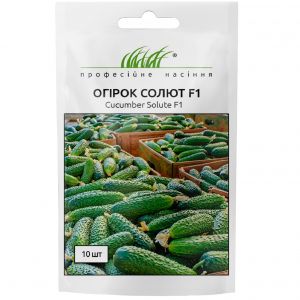 Огурец Солют (Абсолют) F1