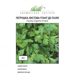 Петрушка листовая Гиганте де Италия