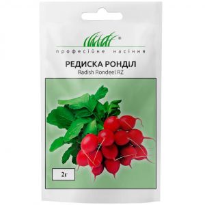 Редис Рондил