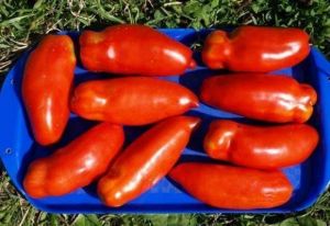 Томат Алый Мустанг 0,15 г