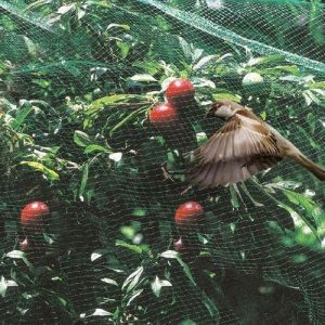 Сетка для защиты от птиц Антиптица, 2х100м ячейки 20х20 мм