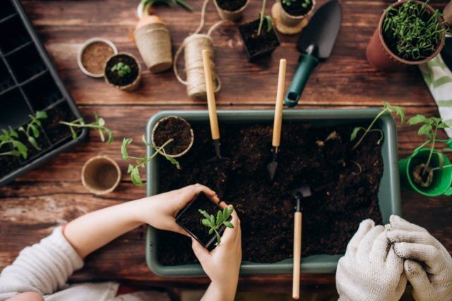 Місячний календар робіт в саду і городі на квітень 2021