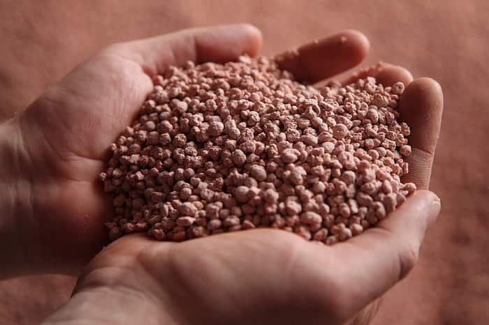 Нитроаммофоска: правила и нормы внесения