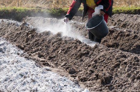 Які добрива вносять восени в грунт