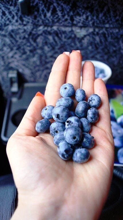 питомник брусвяна