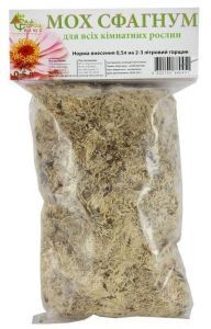 мох сфагнум