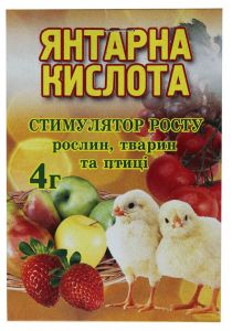 янтарная кислота