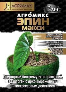 Епін Максі