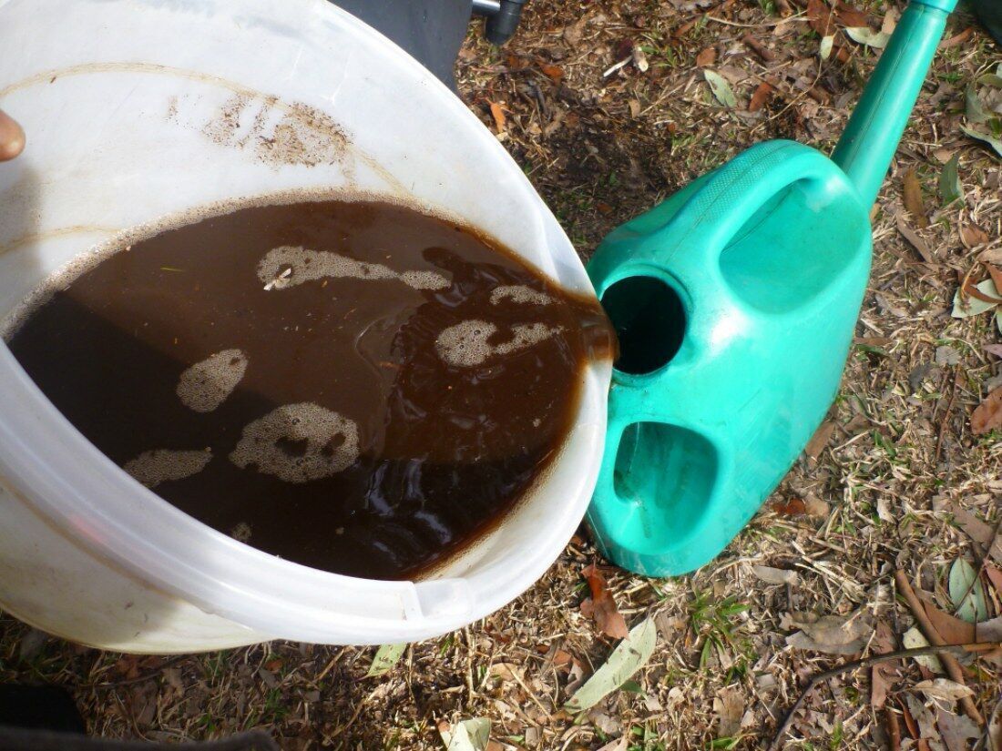 гумат калію (гумак)