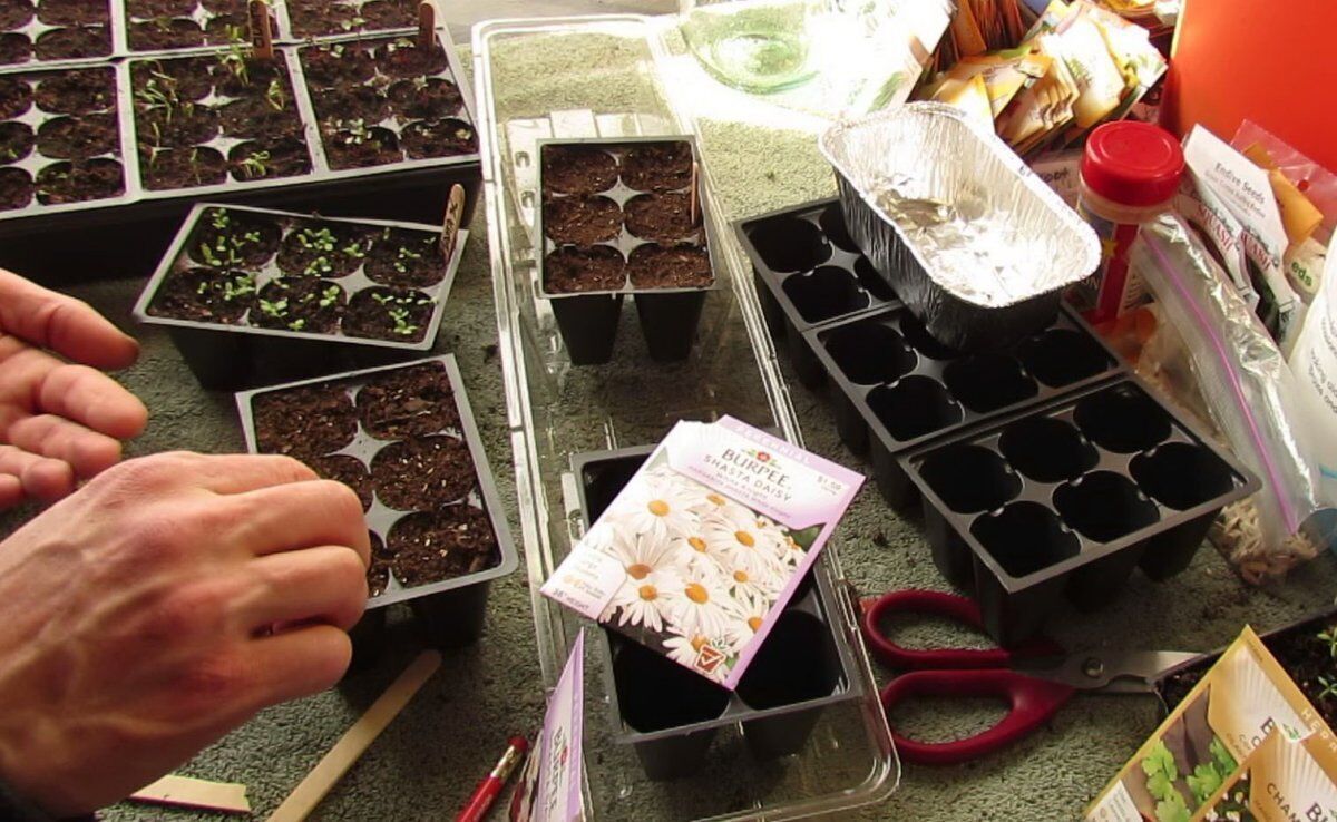 misyachnij-kalendar-19-2