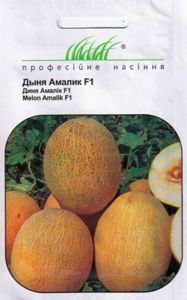 диня амалік