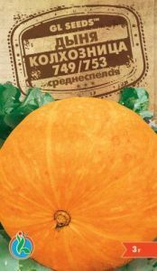 диня колгоспниця