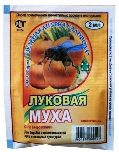 цибулева муха