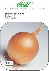 насіння цибулі Хілтон