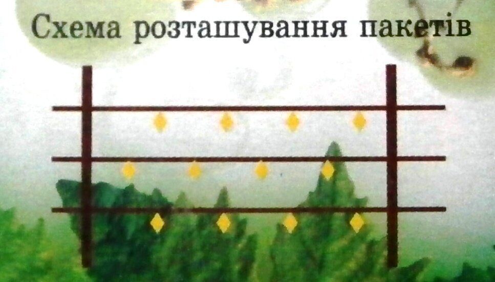 купить защиту виноградника