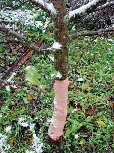 Садовый бинт 