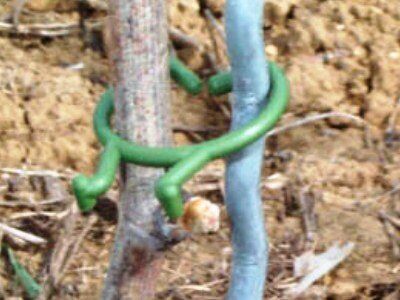 подвязки для растений